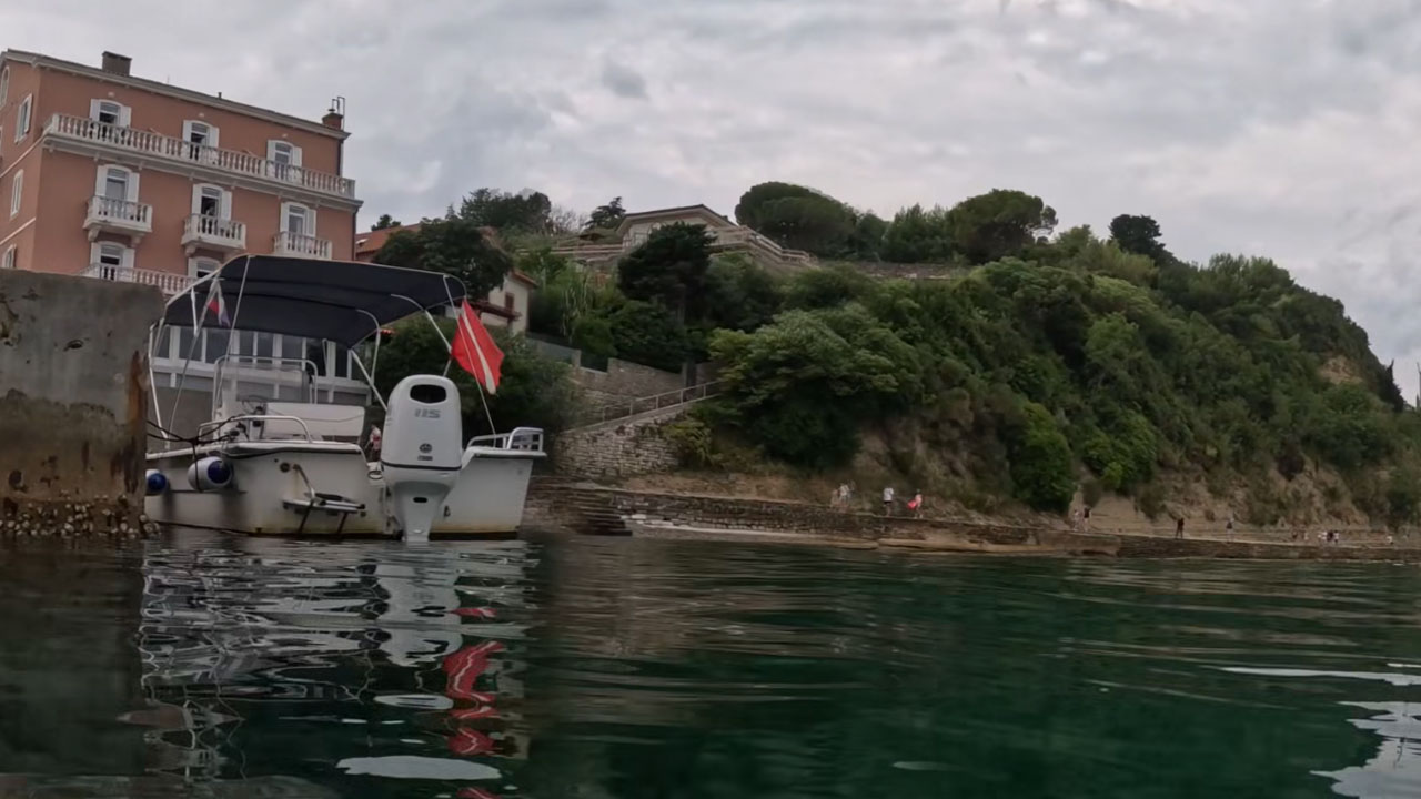 Potapljač posnel živalski svet pod vodno gladino Fiese