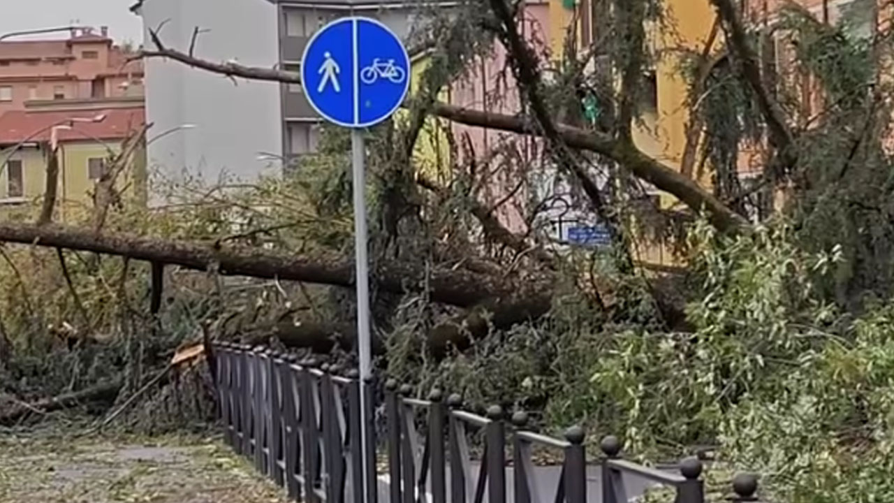 Posledice včerajšnjega neurja, ki je prizadelo mesto Cremona v Lombardiji