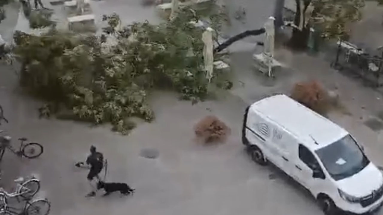 Kolesar se je v Ljubljani izognil padajočemu drevesu