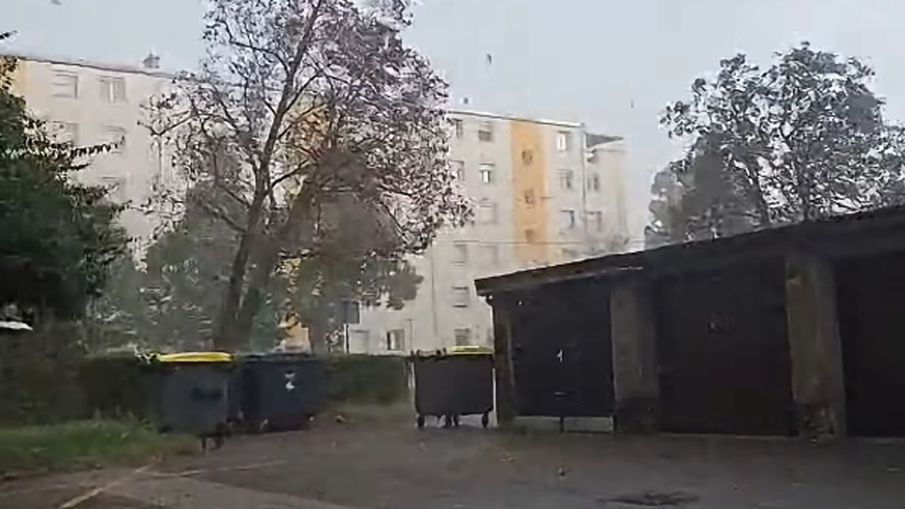 Veter v Ljubljani izruval drevo na Litostrojski cesti v Šiški
