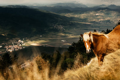 Ob teh lepotah Vipavske doline boste ponosi, da živite v Sloveniji